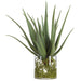 26"Hx20"W Agave With Roots Artificial Plant w/Glass Vase -Green - WP0765-GR