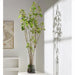 5'9"Hx28"W Silk Cotinus Tree w/Tall Glass Vase -Green - WP0769-GR