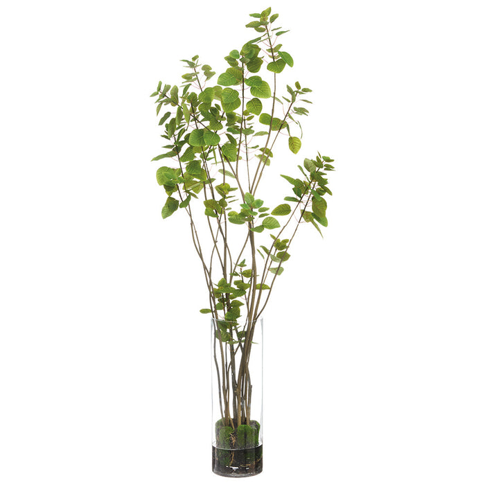 5'9"Hx28"W Silk Cotinus Tree w/Tall Glass Vase -Green - WP0769-GR