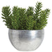 20.5"Hx20"W Senecio Succulent Artificial Plant w/Metal Bowl -Green - WP0770-GR