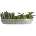8.5"Hx23"W Mixed Succulent & Cactus Artificial Plant w/Metal Container -Green - WP0772-GR