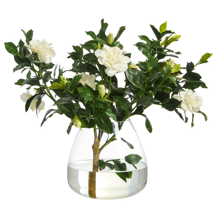 22"Hx30"W Gardenia Branch Silk Flower Arrangement w/Glass Vase -Cream - WP0773-CR