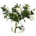 22"Hx30"W Gardenia Branch Silk Flower Arrangement w/Glass Vase -Cream - WP0773-CR