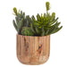 12"Hx10"W Mixed Succulent Garden Artificial Plant w/Wood Planter -2 Tone Green - WP0779-GR/TT