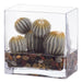 8"Hx7.5"W Barrel Cactus Artificial Plant w/Glass Vase -Green - WP0781-GR