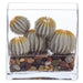 8"Hx7.5"W Barrel Cactus Artificial Plant w/Glass Vase -Green - WP0781-GR