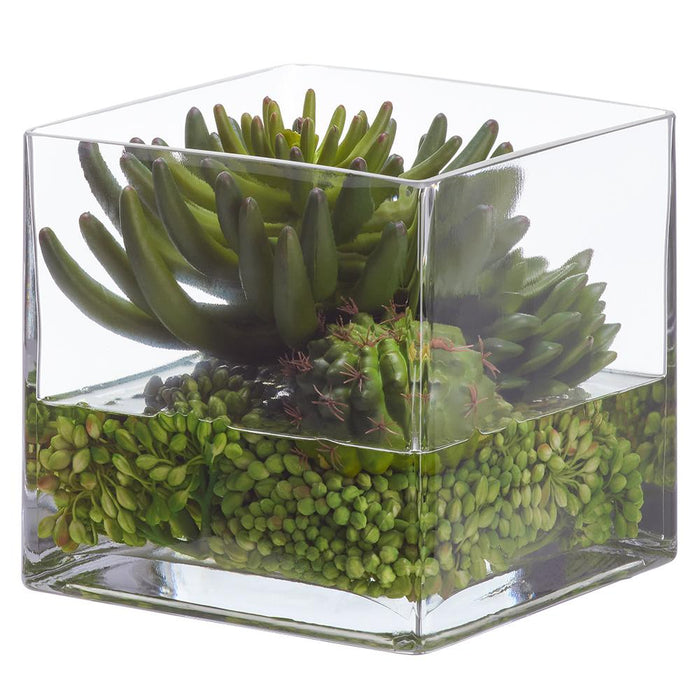 7"Hx7"W Echeveria, Cactus & Sedum Artificial Plant w/Glass Vase -Green - WP0782-GR