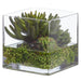 7"Hx7"W Echeveria, Cactus & Sedum Artificial Plant w/Glass Vase -Green - WP0782-GR