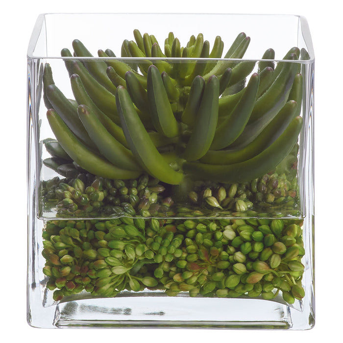 7"Hx7"W Echeveria, Cactus & Sedum Artificial Plant w/Glass Vase -Green - WP0782-GR