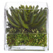 7"Hx7"W Echeveria, Cactus & Sedum Artificial Plant w/Glass Vase -Green - WP0782-GR