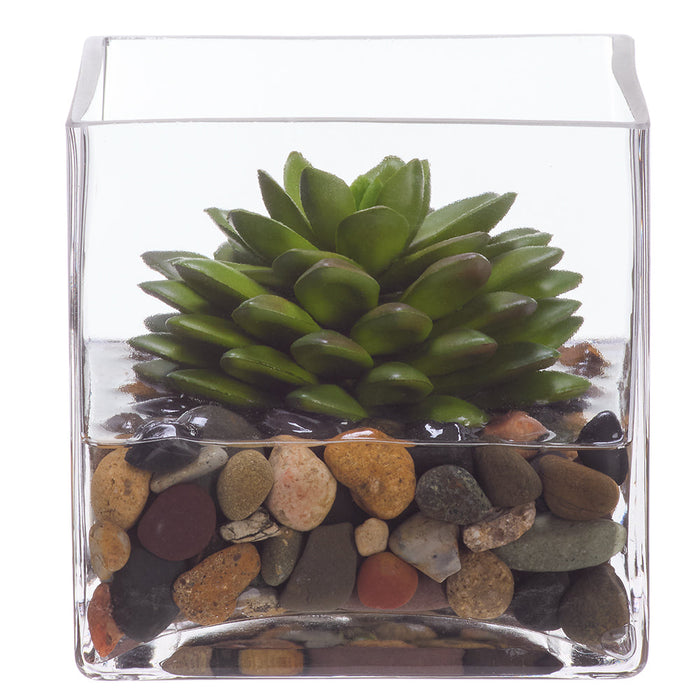 4.75"Hx4.25"W Echeveria Succulent Artificial Plant w/Glass Vase -Green - WP0783-GR
