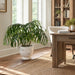 34"Hx32"W Split Philodendron Monstera Leaf Silk Plant w/Fiber Cement Planter -Green - WP0787-GR