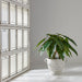 37"Hx42"W Philodendron Leaf Silk Plant w/Fiber Cement Planter -Green - WP0788-GR