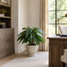 37"Hx42"W Philodendron Leaf Silk Plant w/Fiber Cement Planter -Green - WP0788-GR