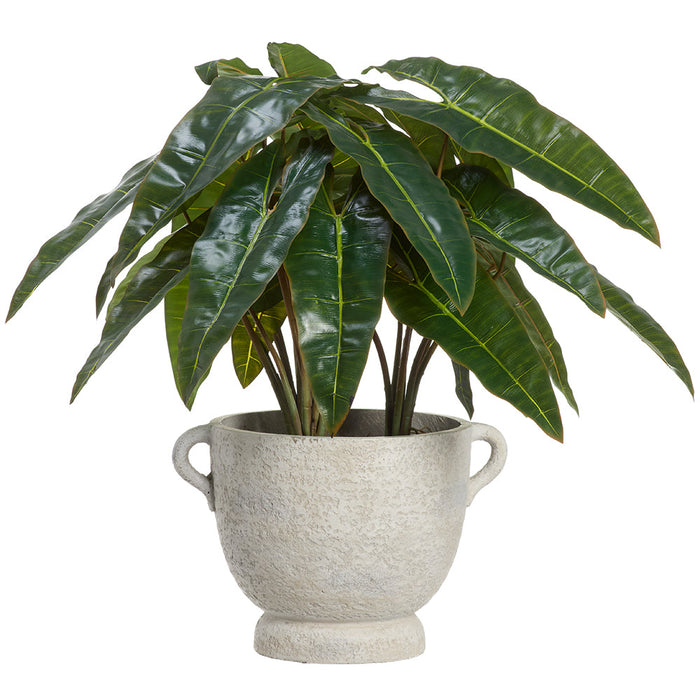 37"Hx42"W Philodendron Leaf Silk Plant w/Fiber Cement Planter -Green - WP0788-GR