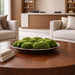 5.25"Hx16.5"W Artificial Moss Arrangement w/Ceramic Round Plate -Green - WP0790-GR