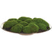 5.25"Hx16.5"W Artificial Moss Arrangement w/Ceramic Round Plate -Green - WP0790-GR