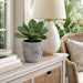 12"Hx9"W Kalanchoe Artificial Plant w/Cement Planter -Green - WP7967-GR