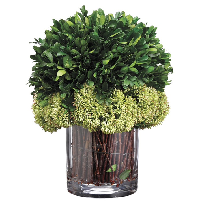 11"Hx8"W Preserved Boxwood Ball-Shaped Topiary Plant w/Glass Vase -Green - WP8017-GR