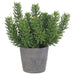23"Hx18"W Senecio Succulent Artificial Plant w/Cement Pot -Green - WP8143-GR