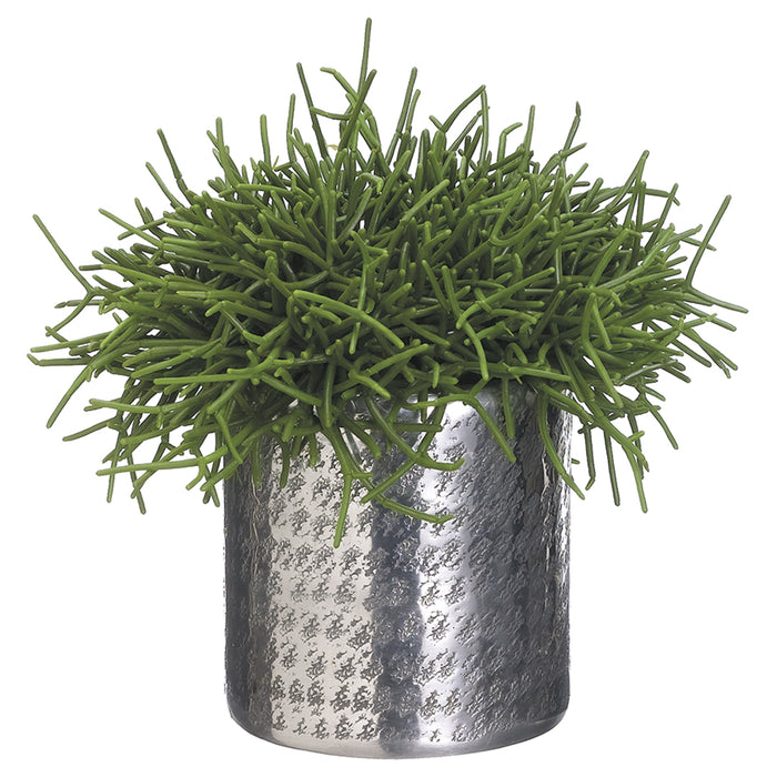 artificial pencil cactus 9.5"Hx11.5"W Pencil Cactus Artificial Plant w/Aluminum Planter -Green