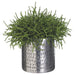 9.5"Hx11.5"W Pencil Cactus Artificial Plant w/Aluminum Planter -Green - WP8154-GR