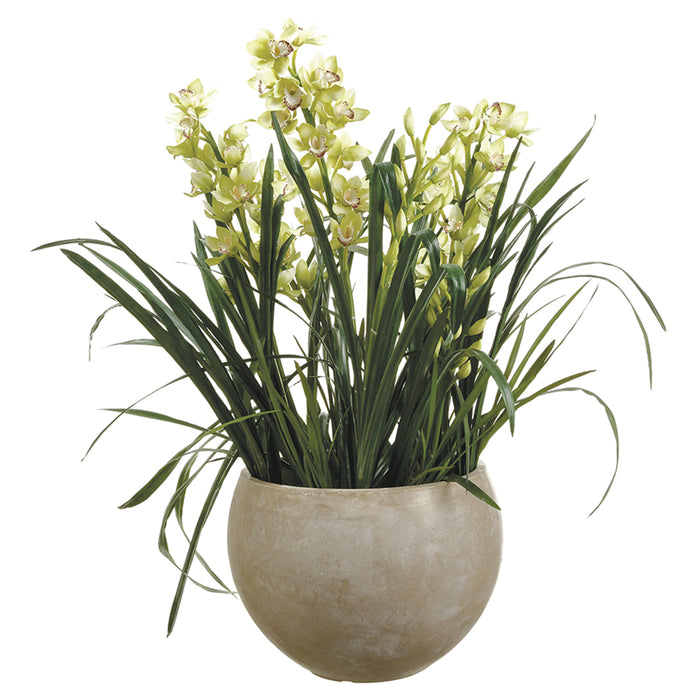 50" Silk Cymbidium Orchid Flower Arrangement w/Cement Pot -Green/White - WP8184-GR/WH