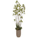 6'9" Silk Cotinus Tree, Grass & Succulent w/Fiber Cement Pot -Green - WP8192-GR