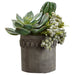 9"Hx8"W Artificial Echeveria, Cactus & Berry Plant w/Cement Pot -Green - WP8256-GR/GY