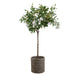 4'5" Flowering Silk Azalea Plant w/Planter -Green/White - WP8287-GR/WH