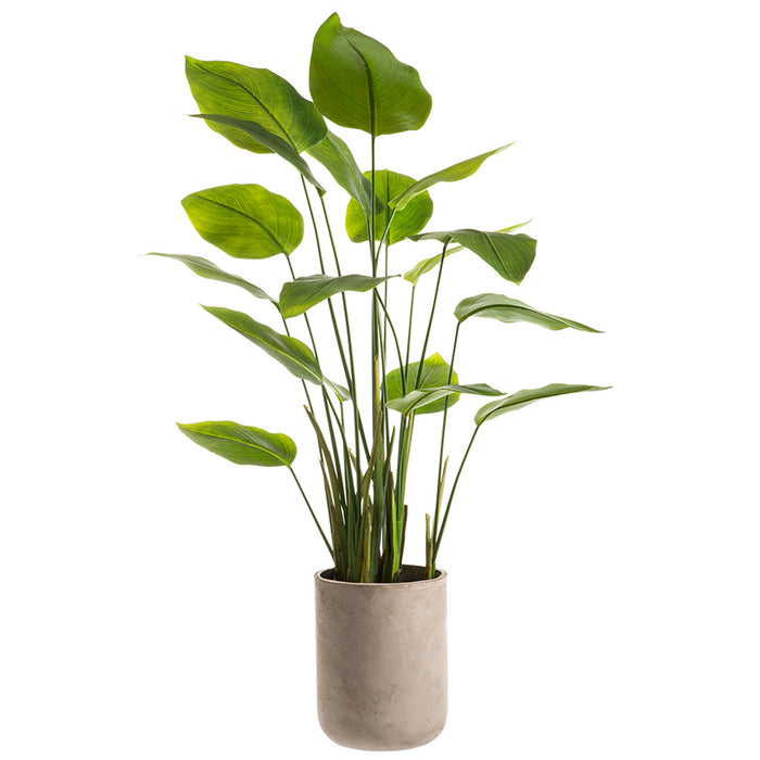 palm leaf planter 4'7"Hx26"W Silk Banana Leaf Palm Tree w/Cement Planter -Green — Silks Are Forever