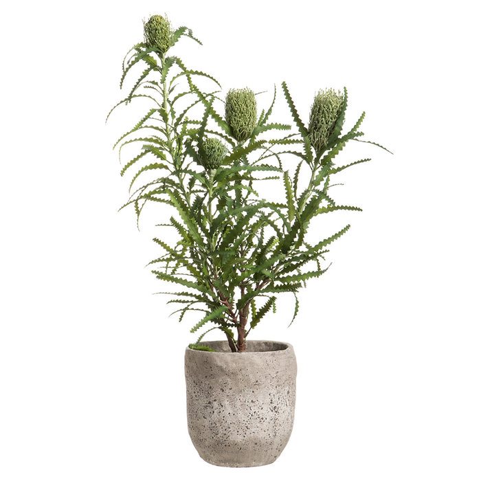 45"Hx25"W Artificial Banksia Protea Plant w/Pot -Green - WP9913-GR