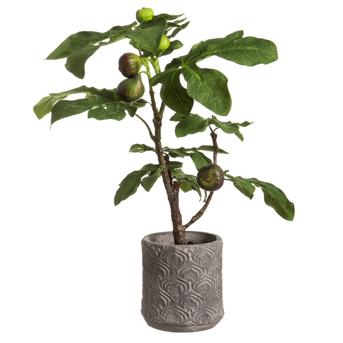 25"Hx18"W Artificial Fruiting Fig Plant w/Terra Cotta Planter -Green - WP9914-GR