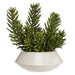 15"Hx14"W Artificial Senecio Succulent Plant w/Planter -Green - WP9918-GR