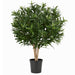 3' IFR Oleander Artificial Tree w/Pot -Green - WR140145