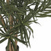 36"Hx30"W IFR Artificial Dracaena Reflexa Tree w/Pot -Green - WR160020