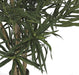 36"Hx30"W IFR Artificial Dracaena Reflexa Tree w/Pot -Green - WR160020