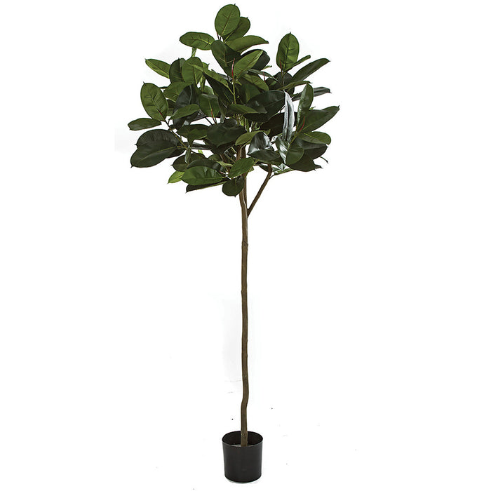 7' IFR Rubber Leaf Artificial Tree w/Pot -Green - WR200110