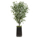 8'9" Eucalyptus Leaf Silk Tree w/Planter -Green - WT0677-GR