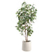 6' Seeded Eucalyptus Leaf Silk Tree w/Iron Planter -Green - WT0680-GR