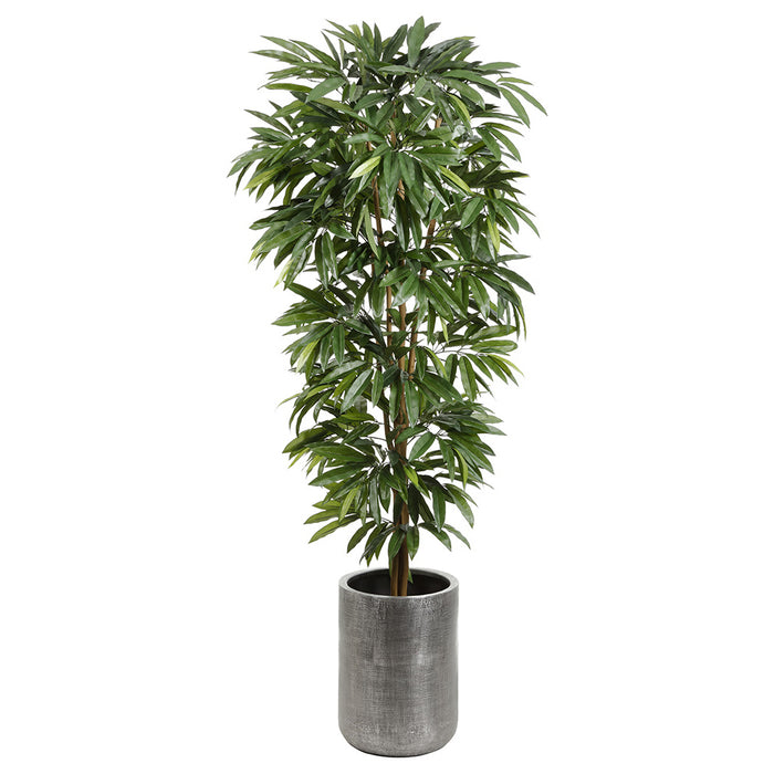 7'2" Silk Mango Tree w/Textured Zinc Planter -Green - WT0687-GR