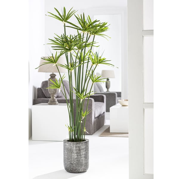 5'4" Artificial Cyperus Papyrus Grass Plant w/Planter -Green - WT0693-GR