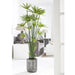 5'4" Artificial Cyperus Papyrus Grass Plant w/Planter -Green - WT0693-GR