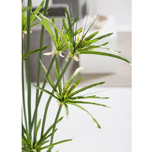 5'4" Artificial Cyperus Papyrus Grass Plant w/Planter -Green - WT0693-GR