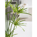 5'4" Artificial Cyperus Papyrus Grass Plant w/Planter -Green - WT0693-GR