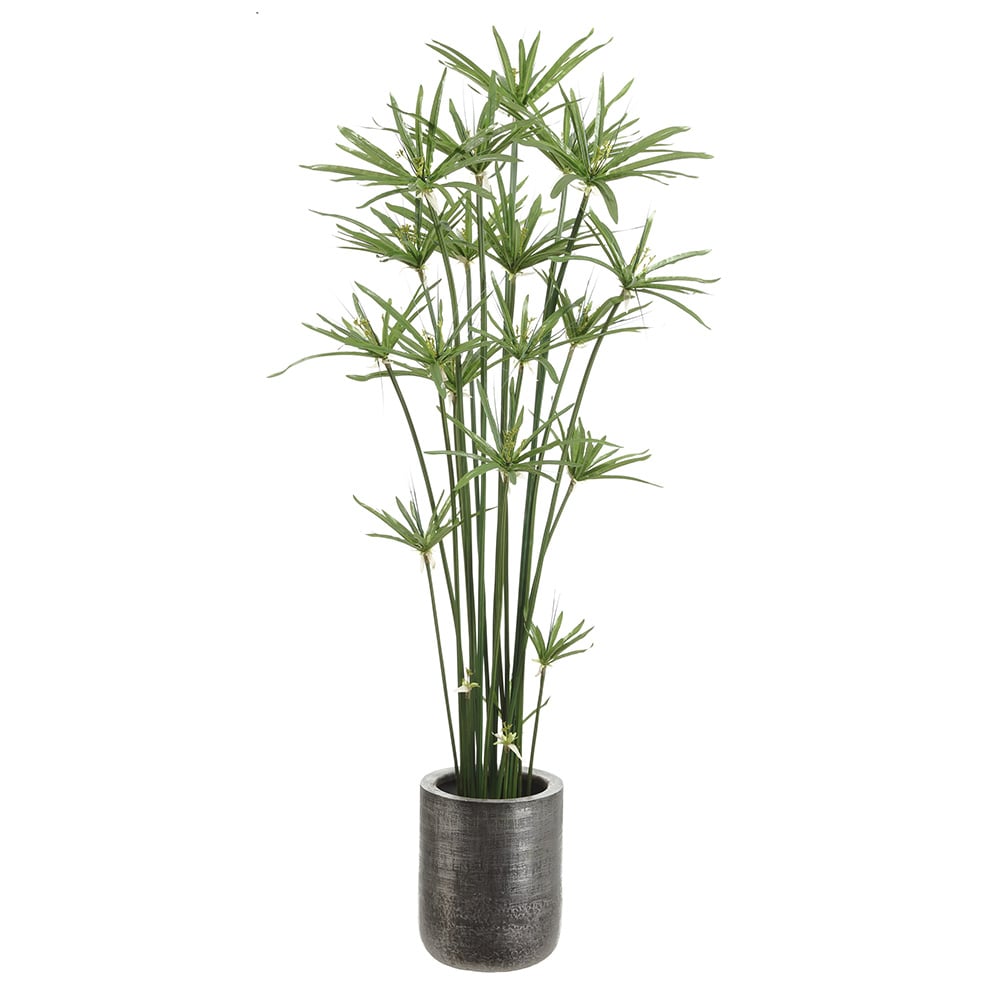 5'4" Artificial Cyperus Papyrus Grass Plant w/Planter Green — Silks