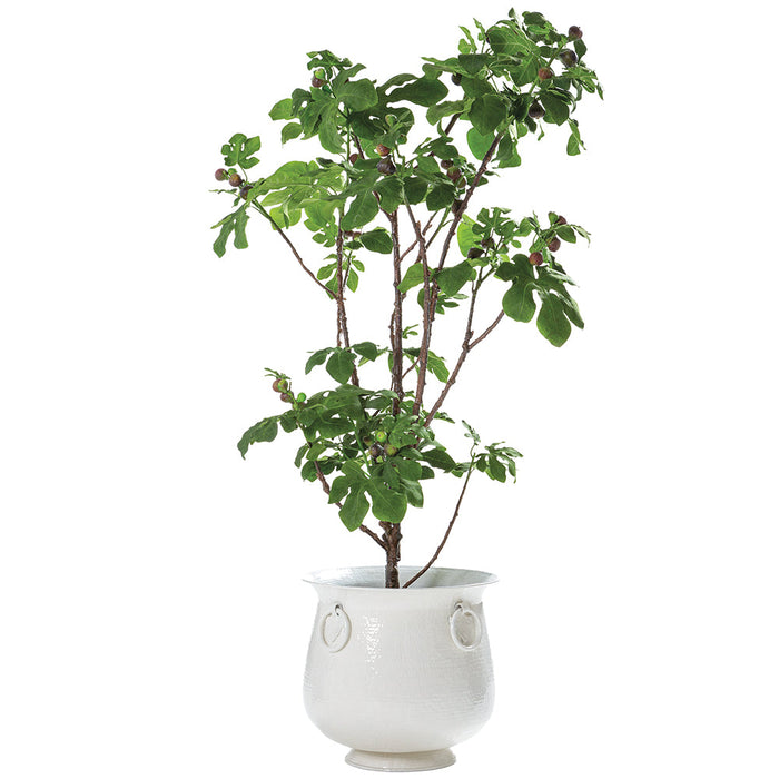 8'Hx48"W Fruiting Fig Leaf Artificial Tree w/Aluminium Planter -Green - WT0707-GR