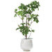8'Hx48"W Fruiting Fig Leaf Artificial Tree w/Aluminium Planter -Green - WT0707-GR