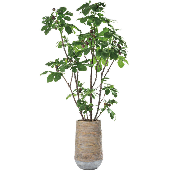 7'6"Hx48"W Fruiting Fig Leaf Artificial Tree w/Cement Planter -Green - WT0709-GR