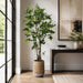 5'6"Hx32"W Ficus Leaf Artificial Tree w/Cement Planter -Green - WT0711-GR